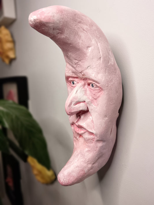 PINK CRESCENT MOON Wall Ornament