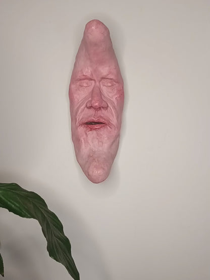 REALISTIC MAN IN THE MOON Wall Ornament