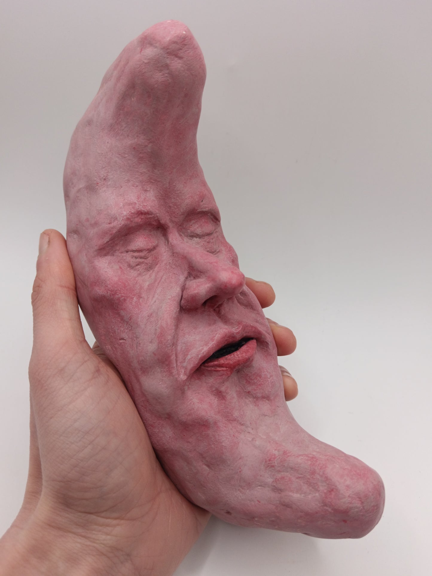 REALISTIC MAN IN THE MOON Wall Ornament