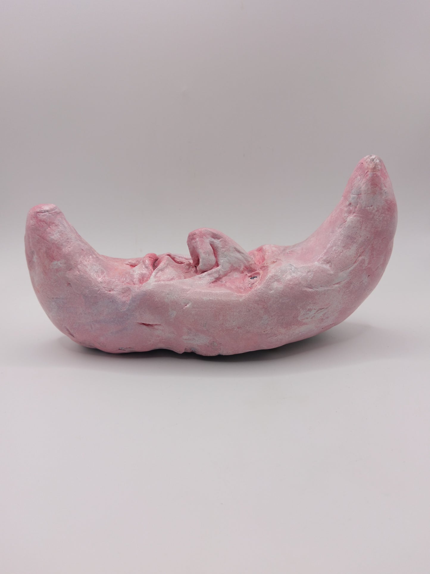 PINK CRESCENT MOON Wall Ornament