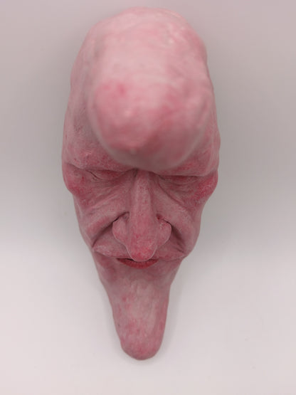REALISTIC MAN IN THE MOON Wall Ornament