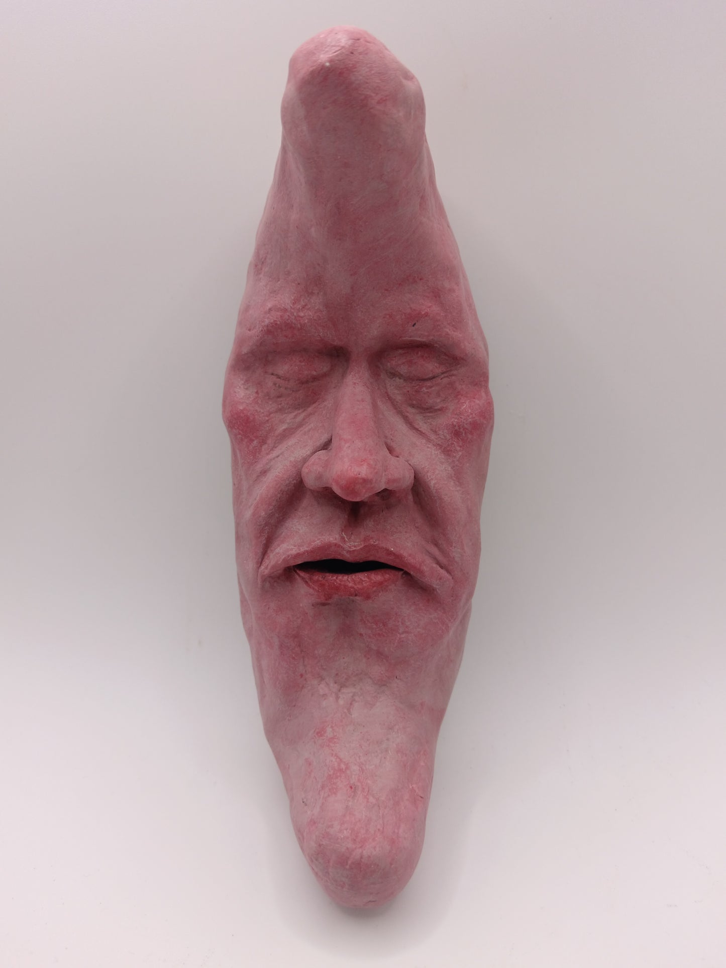 REALISTIC MAN IN THE MOON Wall Ornament