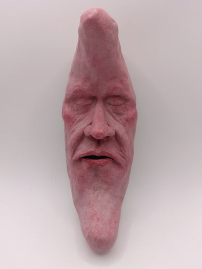 REALISTIC MAN IN THE MOON Wall Ornament